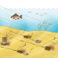 Фидер | Донная ловля