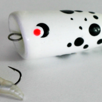 Попла Поппер